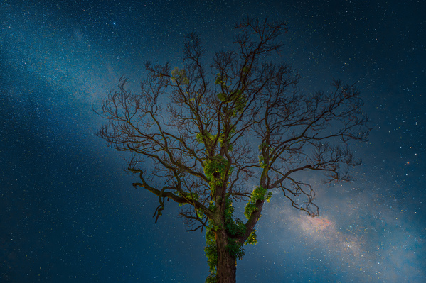 西藏墨竹工卡项目-作者：兰集耀-文章名称《星河伴中秋》 (图稿).jpg