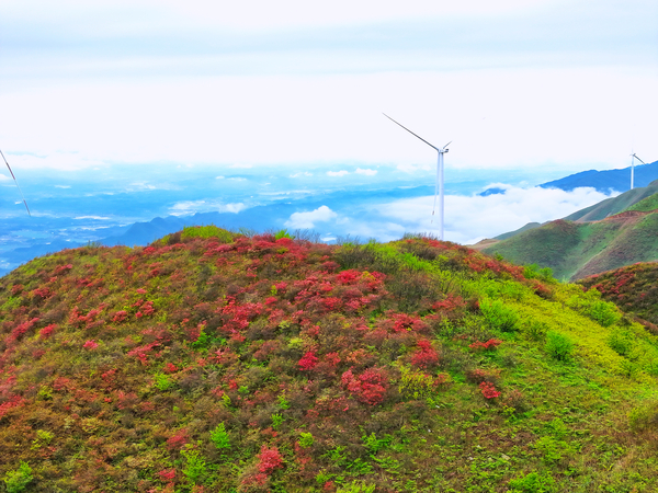 湖南桂阳光明风电场 景致宜人.jpg