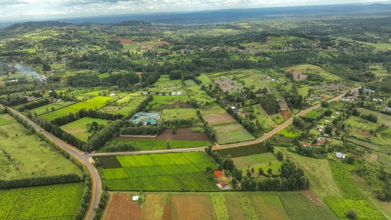 918.com(中国区)官方网站